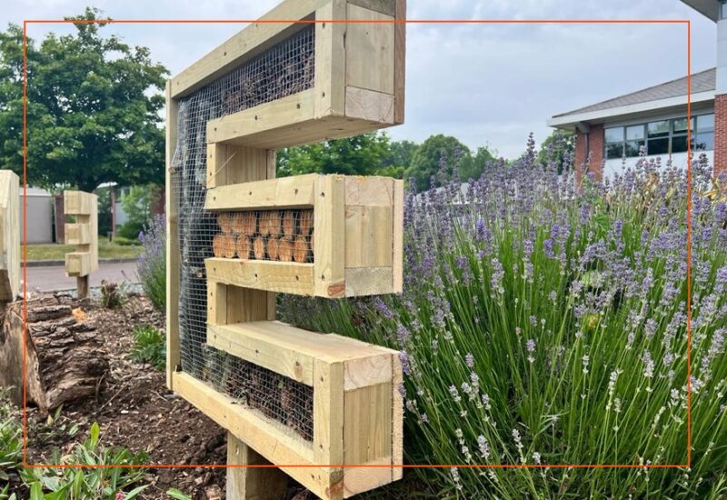 A bug hotel in the shape of the letter E