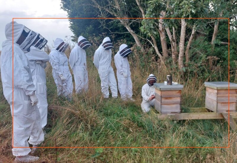 Hartnell Taylor Cook team visits their bee hives