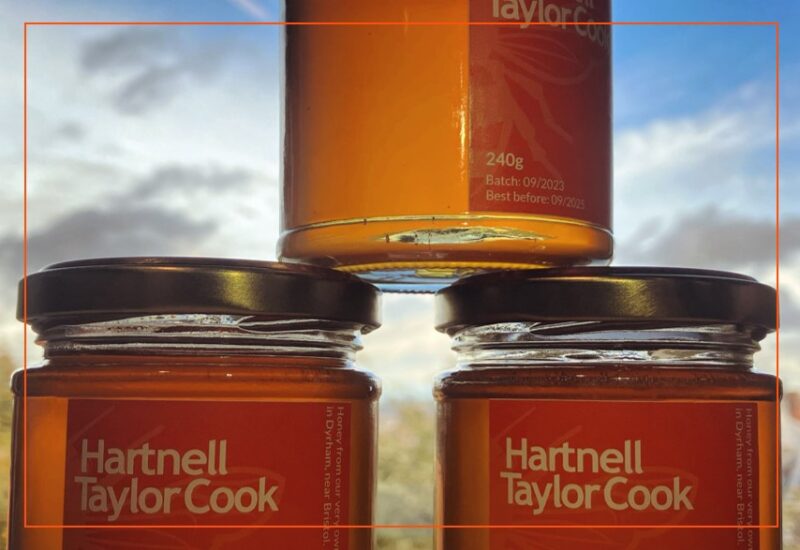 Hartnell Taylor Cook collects its second honey harvest 2024 Oct